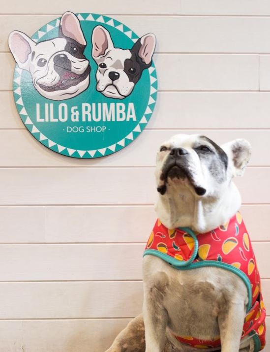 Tienda de animales en Málaga Lilo and Rumba 